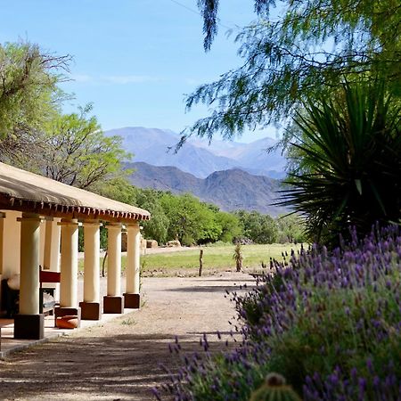 Estancia Banda Grande - Horse & Hiking Safaris Molinos Kültér fotó