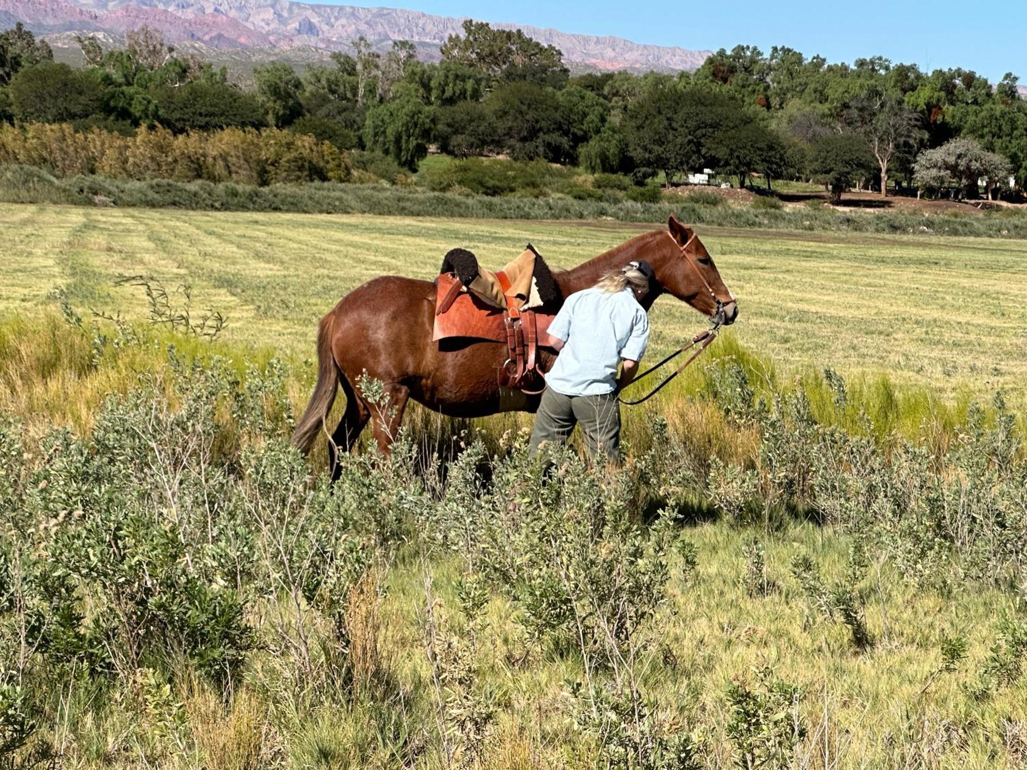 Estancia Banda Grande - Horse & Hiking Safaris Molinos Kültér fotó