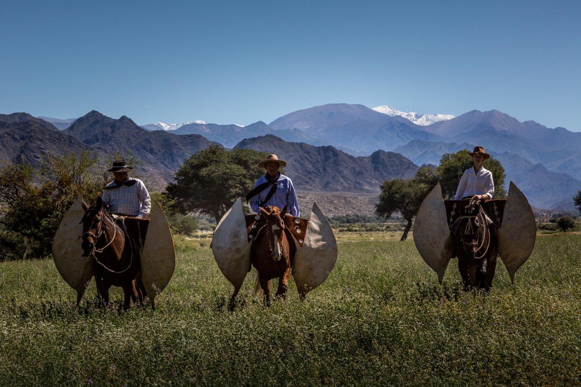 Estancia Banda Grande - Horse & Hiking Safaris Molinos Kültér fotó