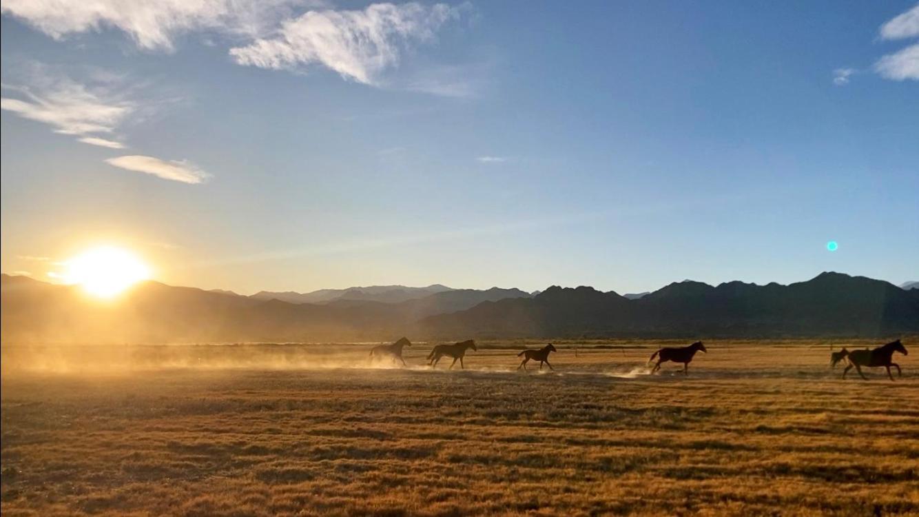 Estancia Banda Grande - Horse & Hiking Safaris Molinos Kültér fotó