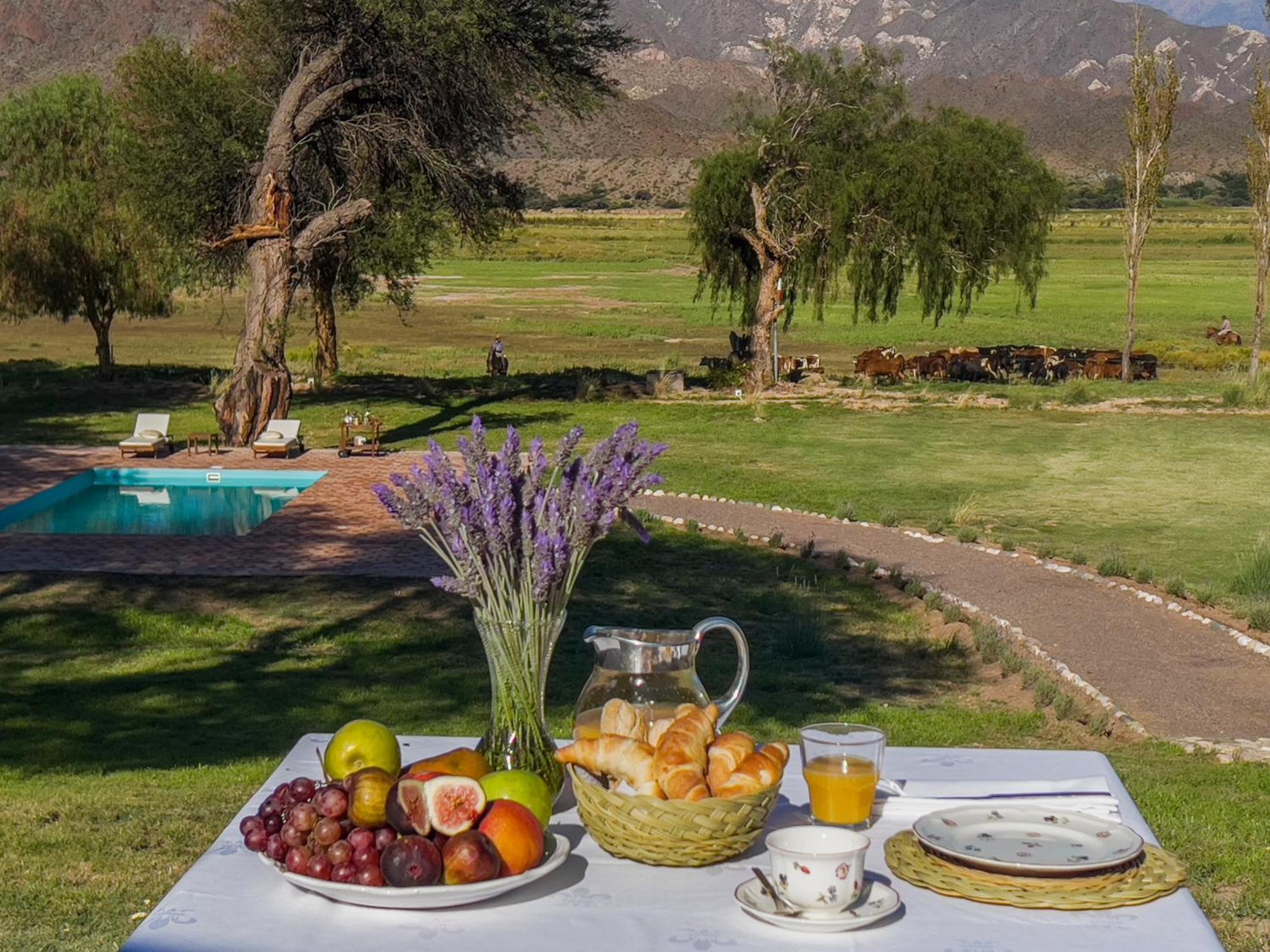 Estancia Banda Grande - Horse & Hiking Safaris Molinos Kültér fotó